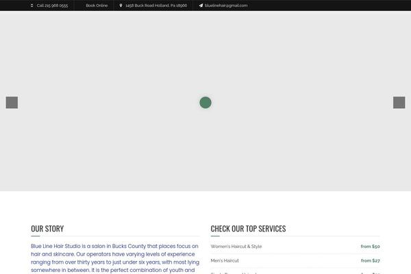Site using Meet My Team plugin