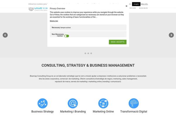 bluemapconsulting.com site used Olympus