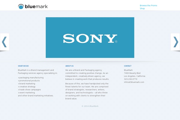 bluemark.com site used Leanbiz