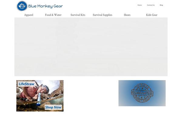 Virtue Premium theme site design template sample