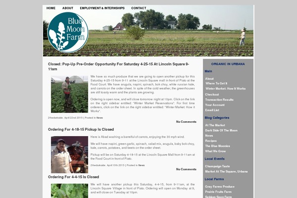 Indore theme site design template sample