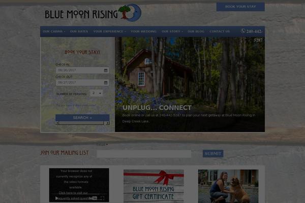 Ironstrap theme site design template sample