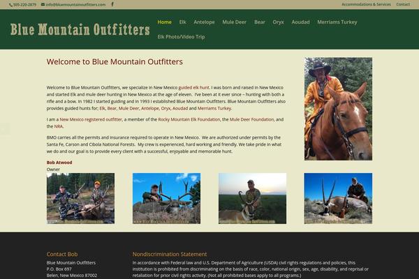 Site using Bloom plugin