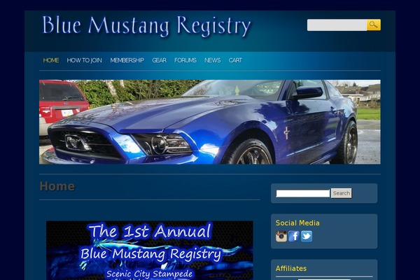bluemustangregistry.com site used Online Marketer