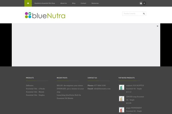 Outlet theme site design template sample
