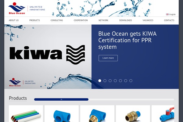 blueoceangroup.org site used Blanktheme