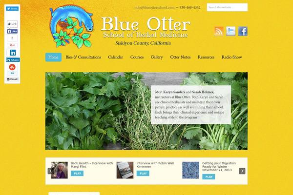 Site using Fullwidth-audio-player plugin