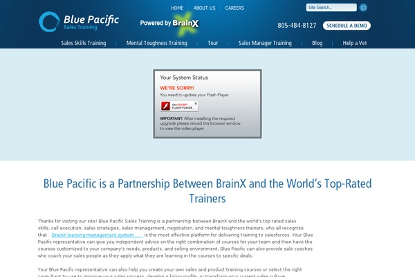 Blue theme site design template sample