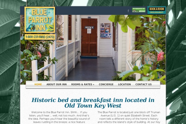 Lamoon theme site design template sample