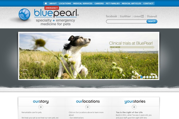 Site using Custom_modules plugin