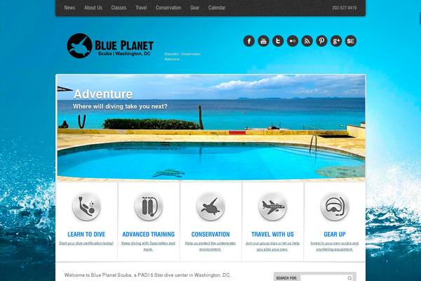 Arctica theme site design template sample