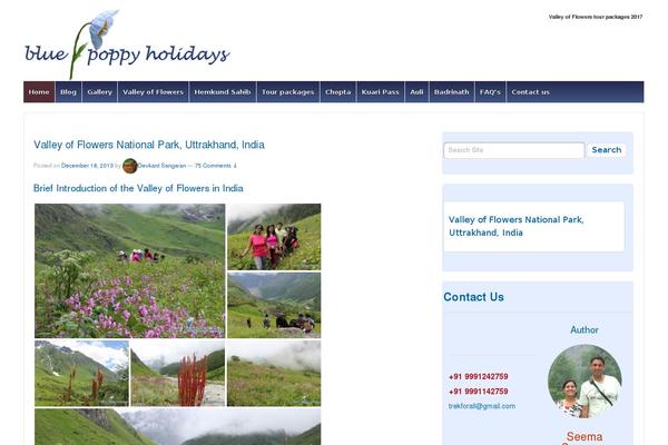 Site using Icegram plugin