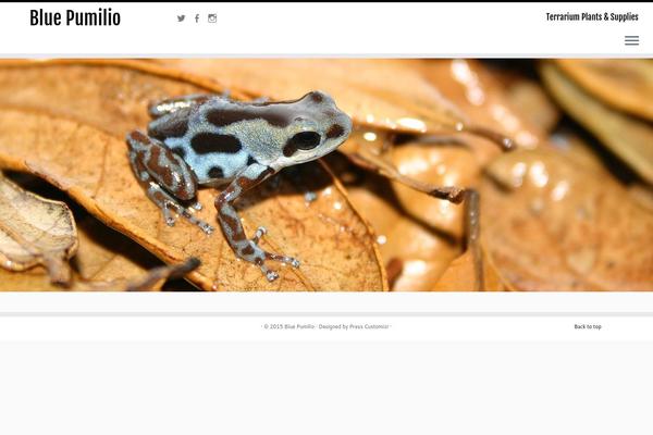 bluepumilio.com site used Customizr