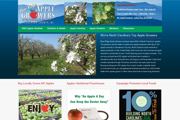 Metric theme site design template sample