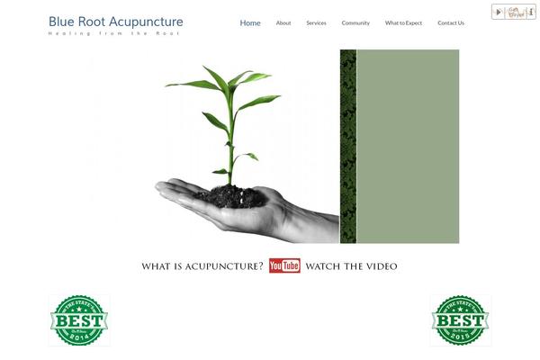 Virtue theme site design template sample