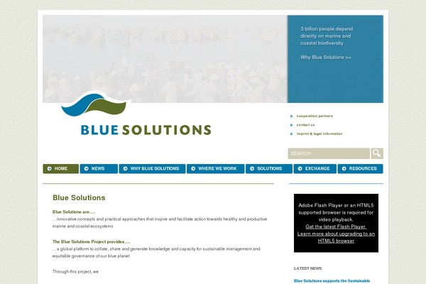 bluesolutions.info site used Hello-elementor-child