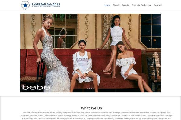 Divi child theme site design template sample