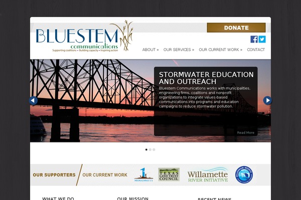 Chameleon theme site design template sample