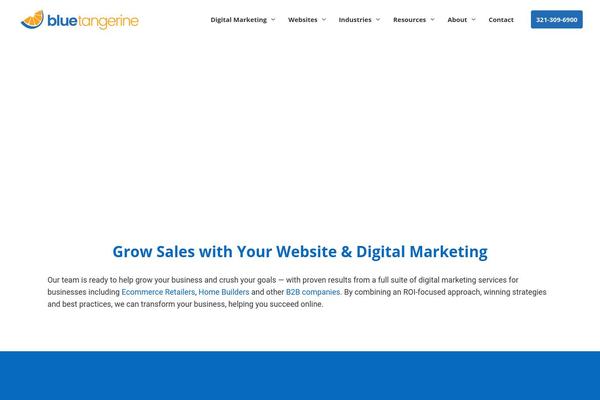 Cesis theme site design template sample