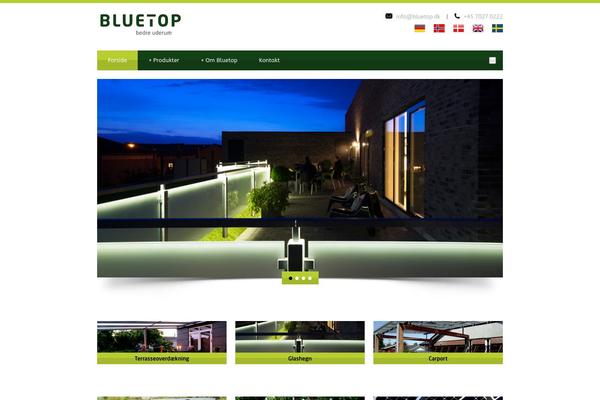 Blue Diamond v1.05 theme site design template sample