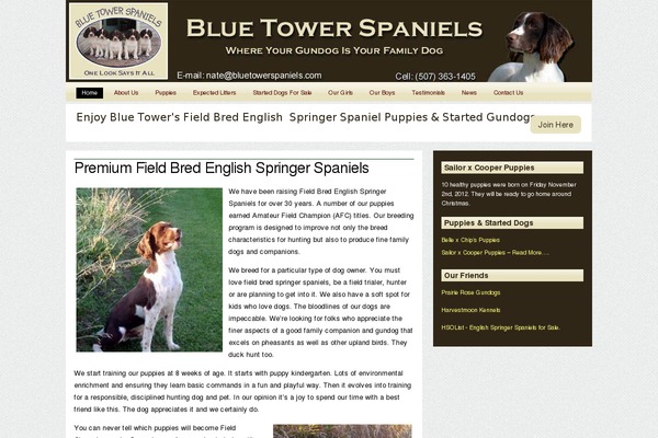 Bp-fun theme site design template sample