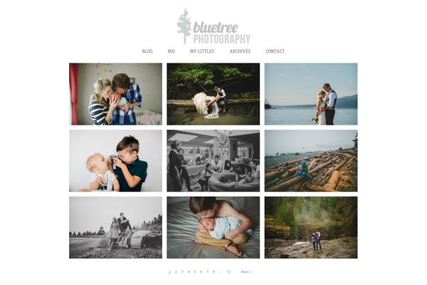 Prophoto4 theme site design template sample