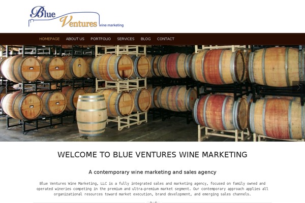 Food & Wine theme site design template sample