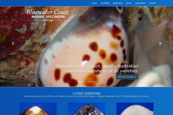 Bluewater theme site design template sample