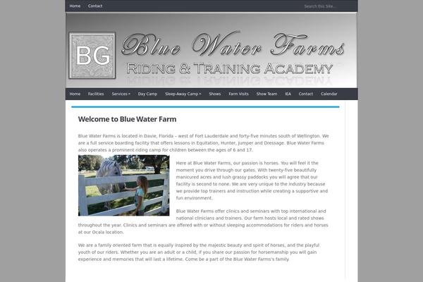 JustBlue theme site design template sample
