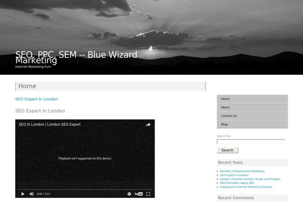 bluewizardmarketing.com site used Howard Simple