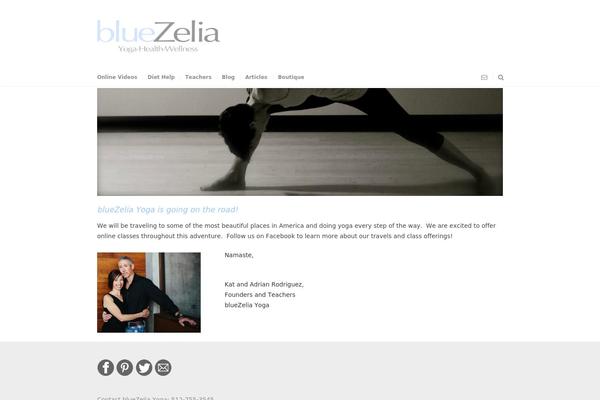 Pinpoint theme site design template sample