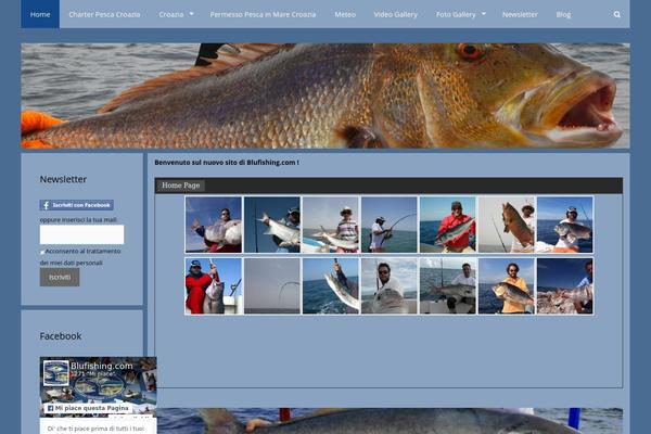 Site using Alligator Popup plugin