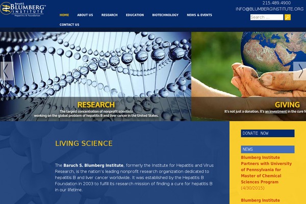 blumberginstitute.org site used Blumberg