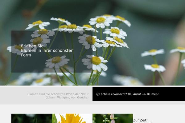 Site using Bst-dsgvo-cookie plugin