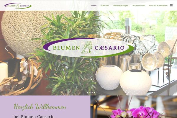 blumen-caesario.ch site used Rosebud