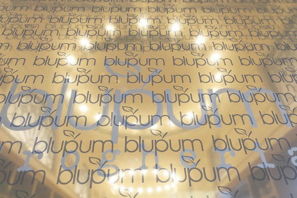 blupum.com site used Newave