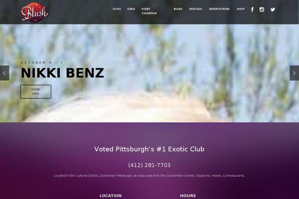 Site using Social Icons Widget plugin