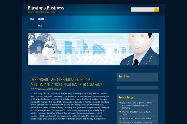 Online Marketer theme site design template sample
