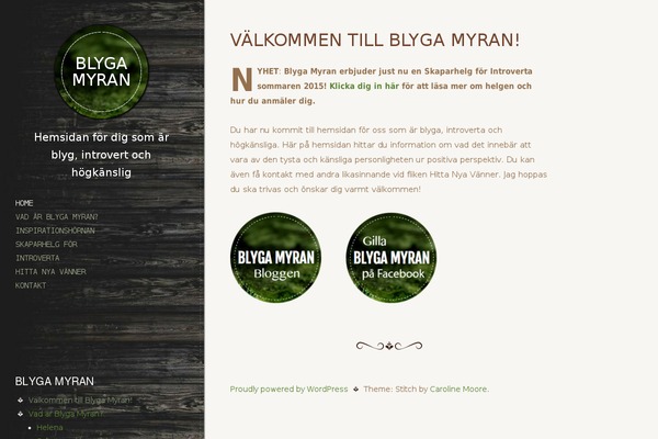Stitch theme site design template sample