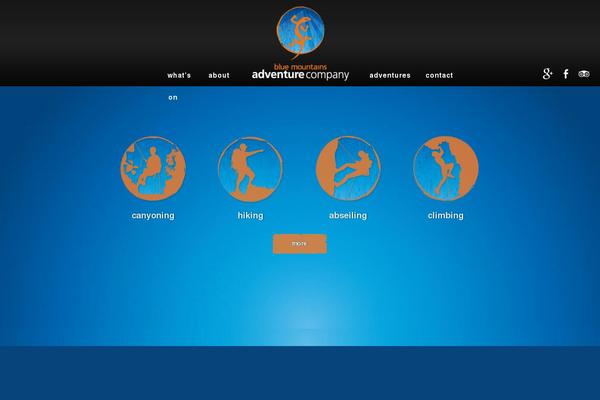 Site using Shortcodes-indep plugin