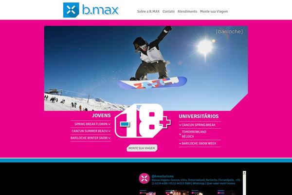 bmax theme websites examples