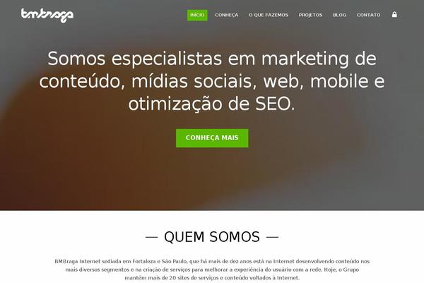 bmbraga theme websites examples