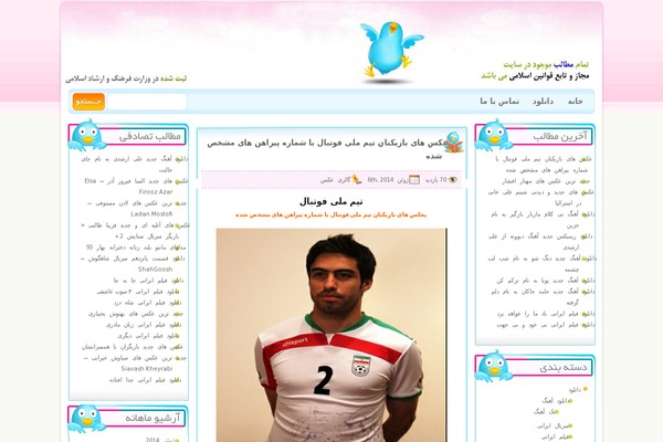bmelody.ir site used Javan Theme