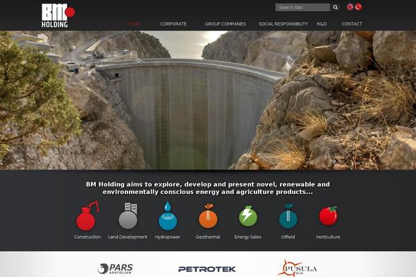 Medanis theme site design template sample