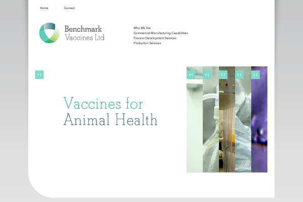 bmkvaccines.com site used Bmk-subsites-wp