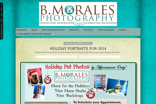 Prophoto4 theme site design template sample