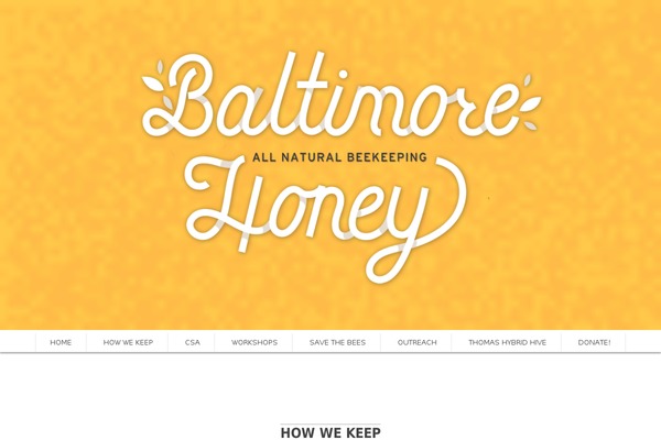 Scrn theme site design template sample