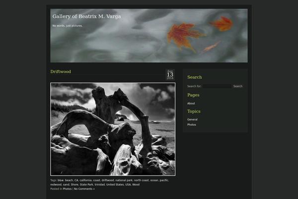 Aurora theme site design template sample