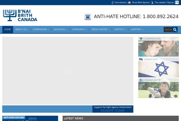 Alterna theme site design template sample