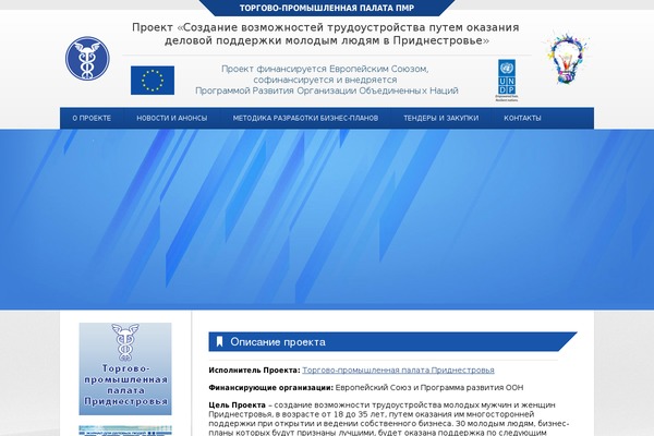 bntiraspol.ru site used Tpp